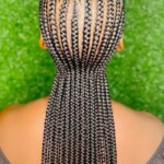 Braids Hairstyles Photos