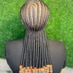 Braids Hairstyles Photos
