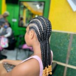 Braids Hairstyles Photos