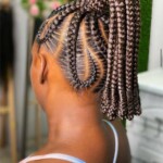 Braids Hairstyles Photos